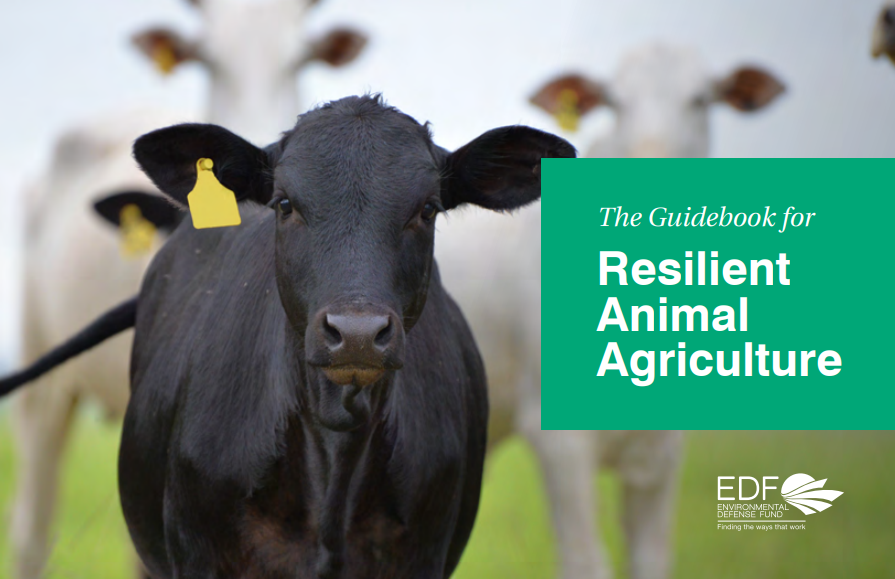 The guidebook for resilient animal agriculture Supply Chain Solutions