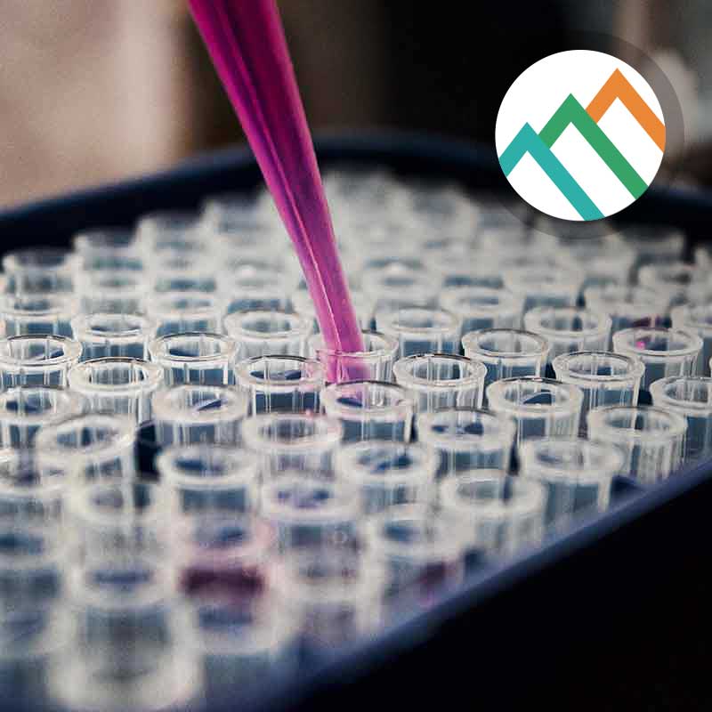 Safer chemicals 101: a glossary of terms