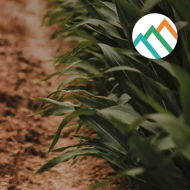 Assess impact and opportunity: agriculture