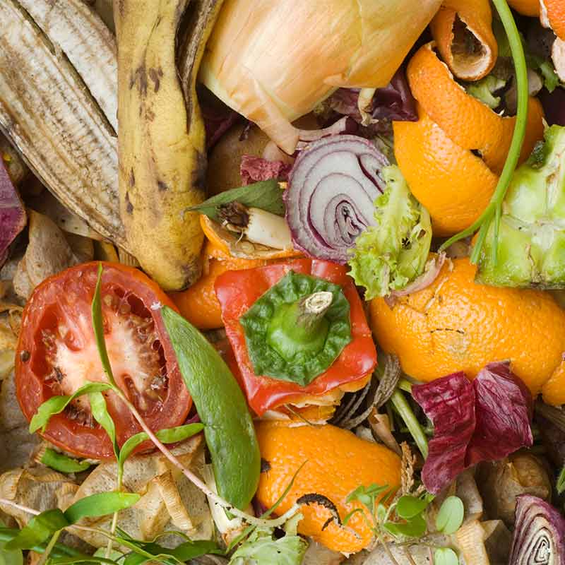 Food waste 101: introduction – Supply Chain Solutions Center