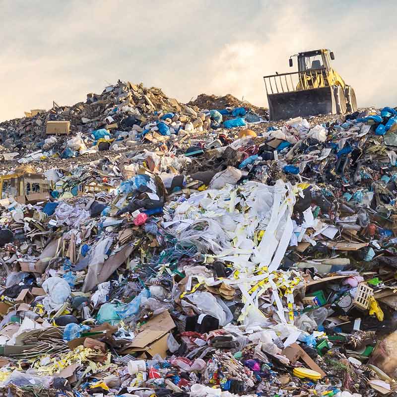 Single-use plastic packaging increases food waste, pollution