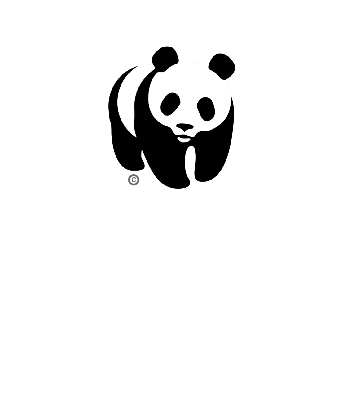 Wwf world